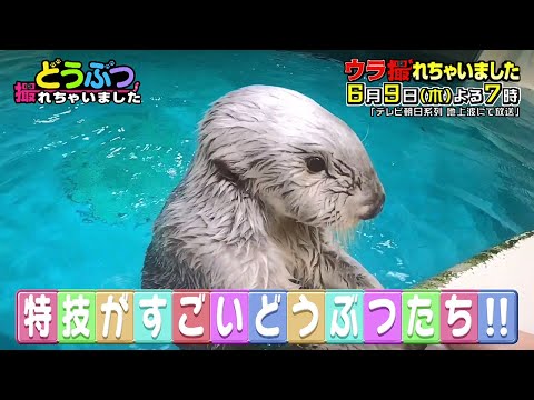 【ウラ撮れちゃいました】2022年6月9日放送