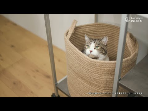 液体のお薬はありますか？