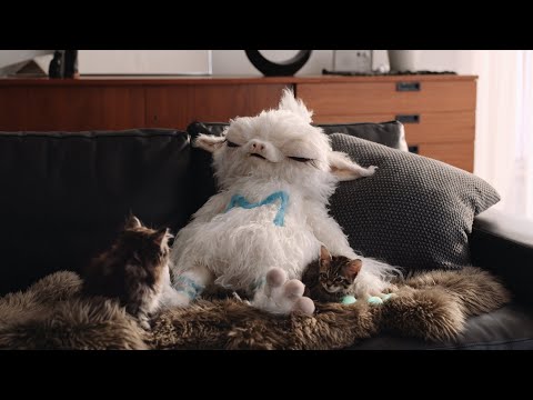 TVCM「MANOMA（マノマ）、登場。篇」30秒Ver.