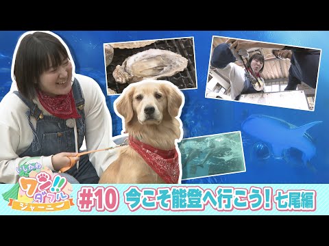 いしかわ　ワン！！ダフルジャーニー　#10 今こそ能登へ行こう！七尾編