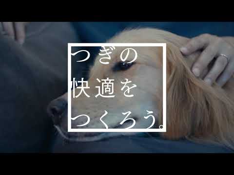 アグレシオCM
