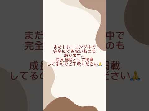オーストラリアンシェパード｢瑚乃波｣のプライベートレッスンの様子🐶#オーストラリアンシェパード #犬 #ペットモデル #動物プロダクション