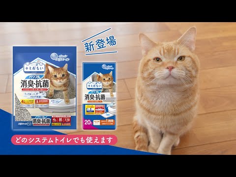 【キミおもい】システム猫砂　4倍パワー消臭力編　30秒
