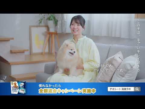 デオシート消臭ラボ　使ってみた！黒いフィルター篇