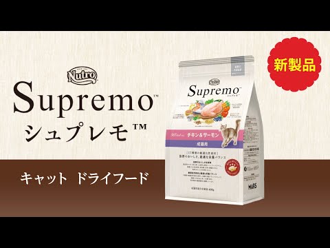 2023 猫シュプレモドライ新発売！