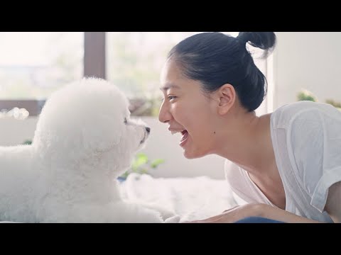 お肌がうるおい元気になって、ワンちゃんもハッピー！シンプルスキンケアブランド「ピュア ナチュラル」新CM