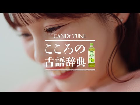 伊右衛門 × CANDY TUNE｜こころの古語辞典「惑溺」篇
