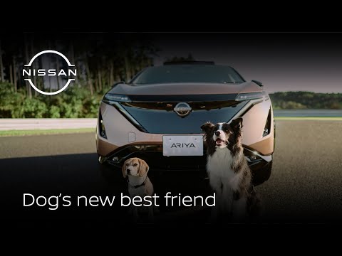 Nissan e-4ORCE becomes a dog’s best friend