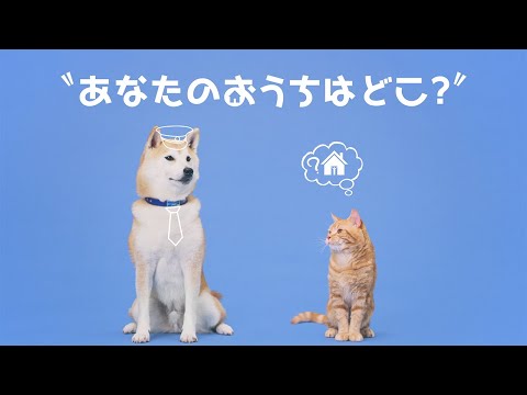 犬、猫へのマイクロチップ装着の制度化（令和4年6月1日から）