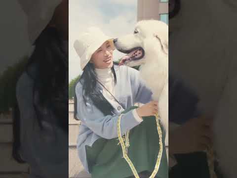 LEPSIM 2022 WINTER ホイップライクニットでご自愛しましょ -モフモフの愛犬編-