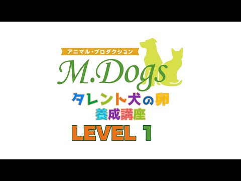 【資格取得講座】 レベル紹介動画 動物プロダクション エムドッグス