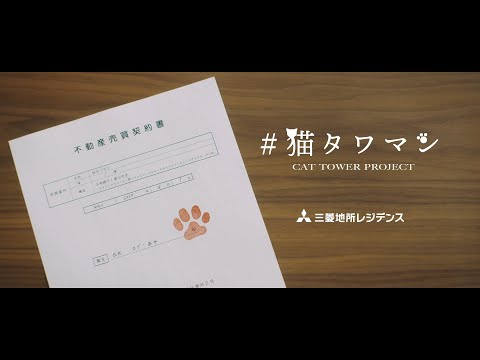 #猫タワマン　CAT TOWER PROJECT