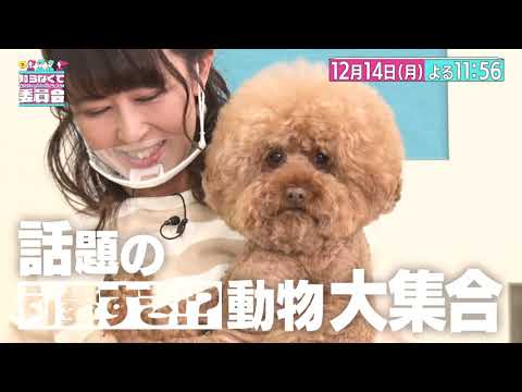 知らなくて委員会 #4 12月14日(月)よる11時56分放送｜HBC北海道放送