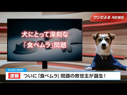 ビューティープロ パウダフル｜ワンだふるNEWS 新登場篇 30秒