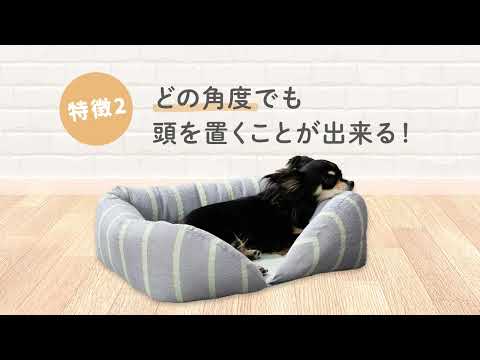 ペットベット