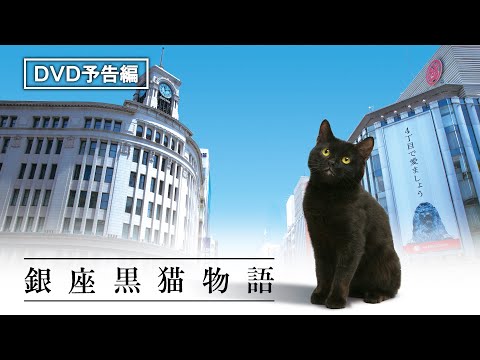 1話完結の心温まるヒューマンドラマ『銀座黒猫物語』9月23日（水）デジタル先行配信 / 12月2日（水）DVD発売