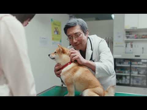 フロントライン® -愛されて27年- ドッグ篇 30秒