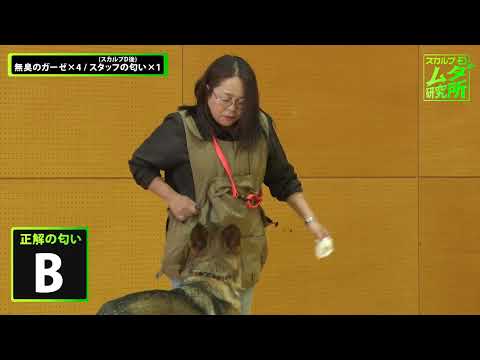 スカルプDムダ研究所＃6　【負けられない戦いがここにある！】スカルプD VS 警察犬