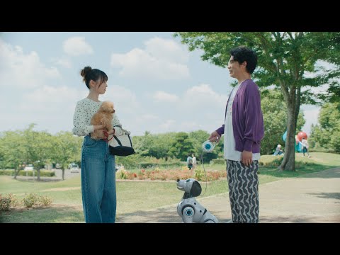 ダイフク企業CM「だいたいダイフク／お散歩篇」30秒