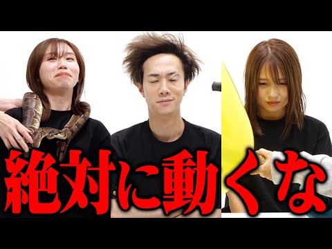 【大地獄】誰が1番じっとしていられるかノーリアクション勝負対決が過去一の鬼畜ゲーずきたwwww