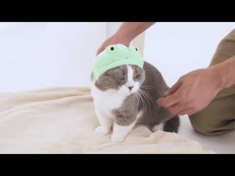 カエルの被り物がちょっと小さいたわしくん