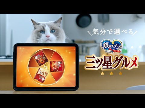 銀のスプーン 三ツ星グルメ 3タイプ【ルーレット篇】