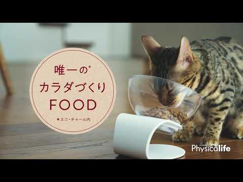 Physicalife　一生を、支えるカラダへ。～愛猫編～