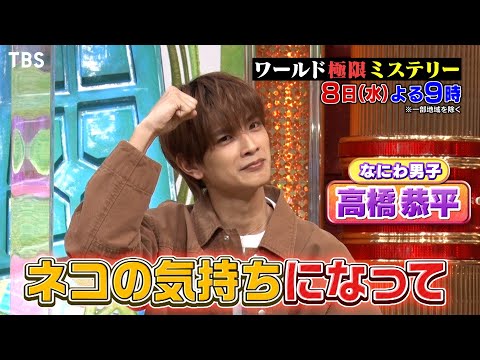 なにわ男子･高橋恭平 ネコの気持ちになって考える!? ペット探偵 第4弾!!『ワールド極限ミステリー』2/8(水)【TBS】