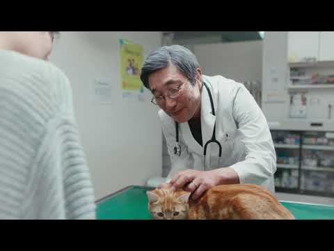 フロントライン® -愛されて27年- キャット篇 30秒