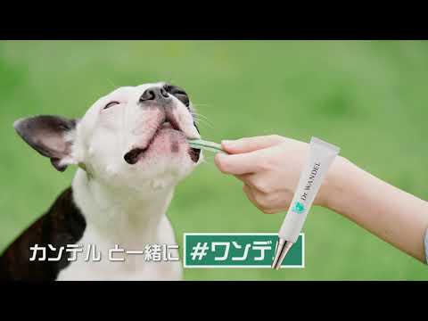 Dr.WANDEL+KANDEL TVCM 「韻踏んでる編」 30秒