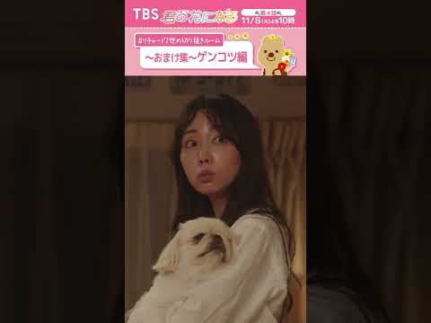おまけ集ゲンコツ編🐶〜#リチャード2世の切り抜きルーム『#君の花になる』 #ペキニーズ #ゲンコツ #TBS