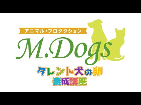 【エムドッグス】 2020年4月26日 育成講座ライブ配信