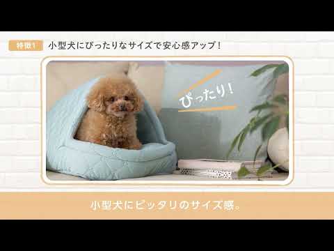 犬用ドーム