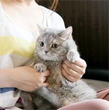 人と動物のより良いコミュニケーションをサポートする