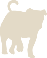 人と動物のより良いコミュニケーションをサポートする