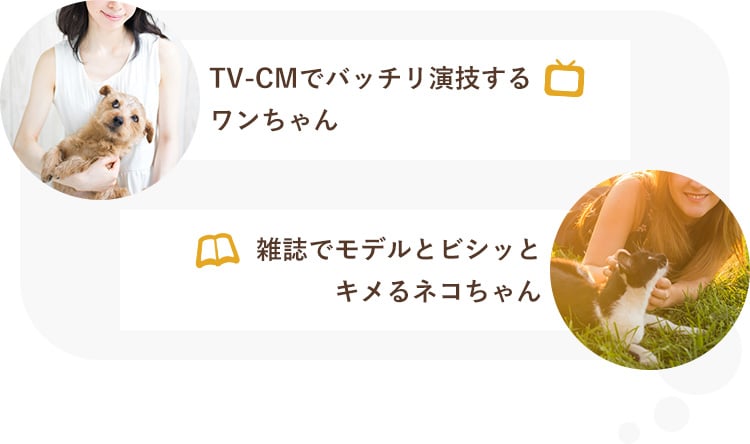 TV-CMでバッチリ演技するワンちゃん 雑誌でモデルとビシッとキメるネコちゃん