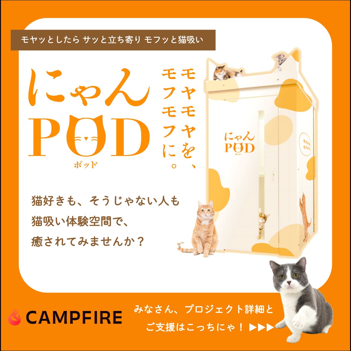 日常のモヤモヤを猫の香りでモフモフにしたい！ 夢の喫猫所「にゃんPOD」爆誕！