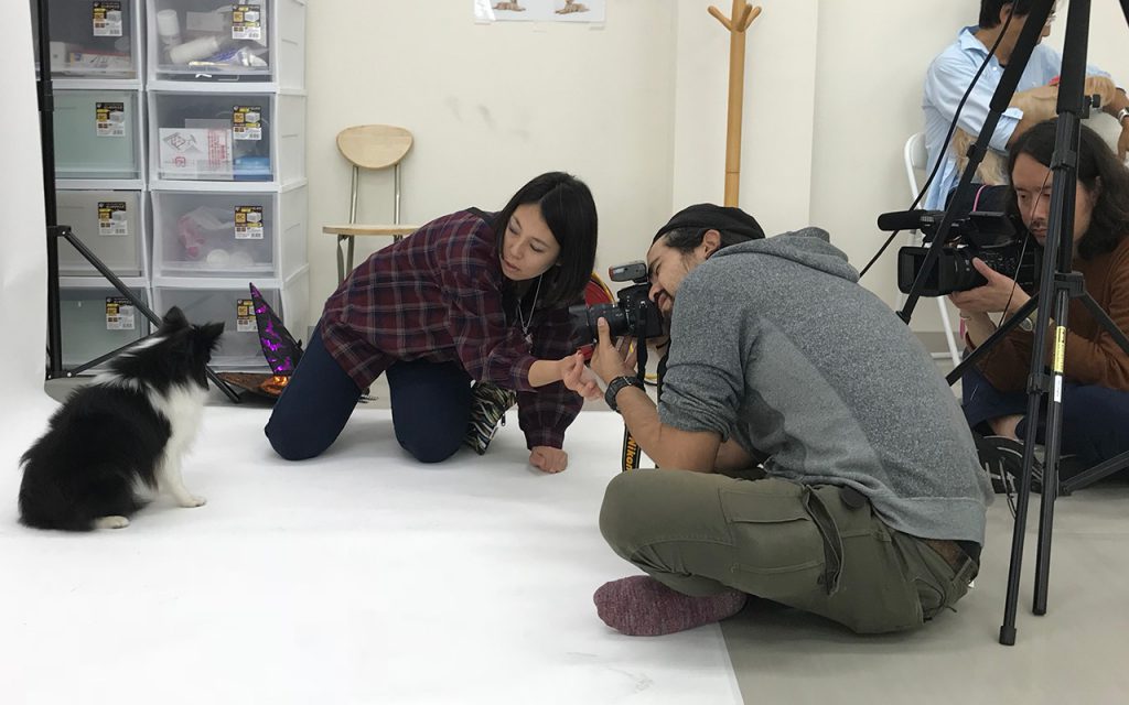 動物プロダクション エムドッグス ペットモデル ペットタレント 撮影風景