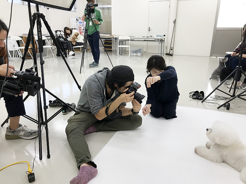 動物プロダクション エムドッグス ペットモデル タレント犬育成講座イメージ