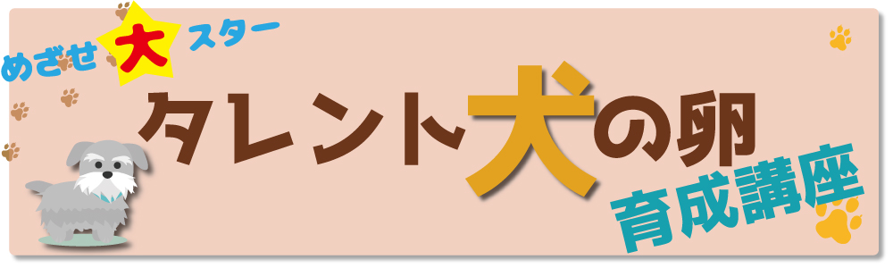 めざせ大スター タレント犬の育成講座