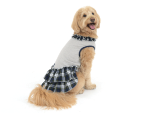 エムドッグス,動物プロダクション,ペットモデル,ペットタレント,モデル犬,タレント犬,ゴールデンドゥードゥル,べる