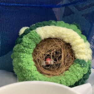 エムドッグス,動物プロダクション,ペットモデル,ペットタレント,モデル犬,タレント犬,文鳥,文さん,鳥さん