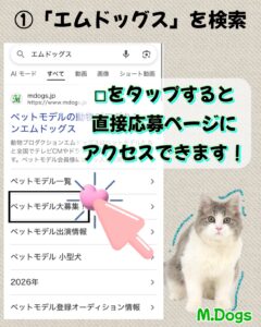 エムドッグス,動物プロダクション,ペットモデル,モデル犬,タレント犬,タレント猫,モデル猫,ペットモデルオーディション