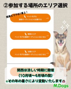 エムドッグス,動物プロダクション,ペットモデル,モデル犬,タレント犬,タレント猫,モデル猫,ペットモデルオーディション