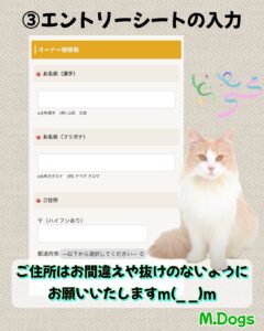 エムドッグス,動物プロダクション,ペットモデル,モデル犬,タレント犬,タレント猫,モデル猫,ペットモデルオーディション