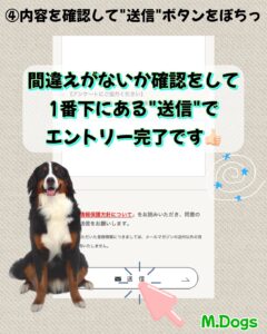 エムドッグス,動物プロダクション,ペットモデル,モデル犬,タレント犬,タレント猫,モデル猫,ペットモデルオーディション