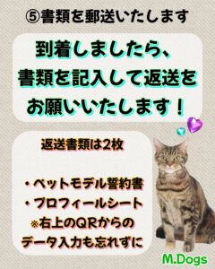 エムドッグス,動物プロダクション,ペットモデル,モデル犬,タレント犬,タレント猫,モデル猫,ペットモデルオーディション