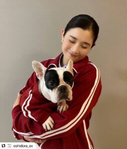 エムドッグス,動物プロダクション,ペットモデル,ペットタレント,モデル犬,タレント犬,フレンチブルドッグ,小雪