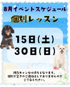 撮影,ドラマ,映画,CM,動物プロダクション,ペットモデル,モデル犬,タレント犬,、モデル猫,タレント猫