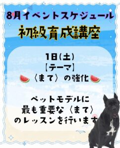 撮影,ドラマ,映画,CM,動物プロダクション,ペットモデル,モデル犬,タレント犬,、モデル猫,タレント猫